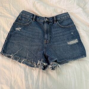 Pacsun Shorts